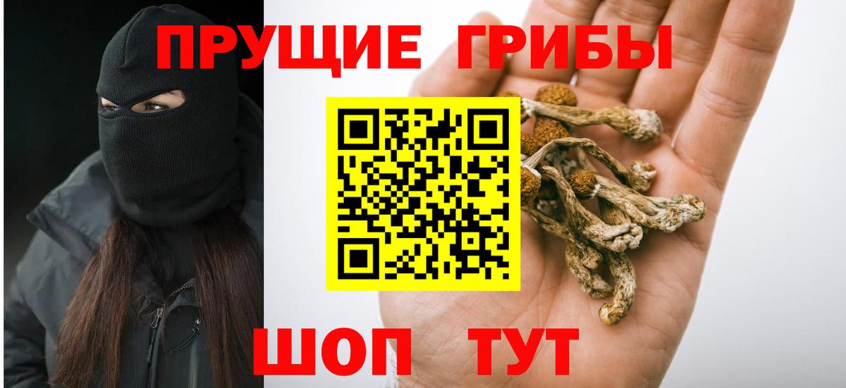 Псилоцибиновые грибы Magic Shrooms  Вход с VPN  Псилоцибиновые грибы мухоморы  Муравленко 